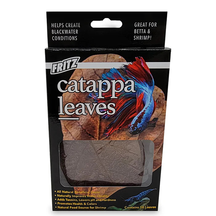 Almond Leaves (Pack of 5)