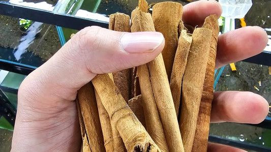 Sustainably Sourced Organic Vietnamese Cinnamon Bark (Pack of 6)