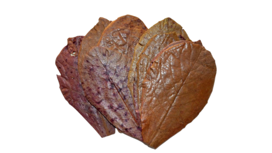 Almond Leaves (Pack of 5)